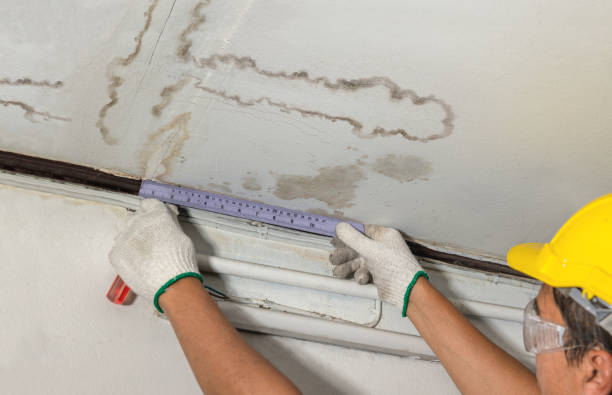Reliable Flood Cleanup contractor in Hillsboro, IL by Water Damage Irwin